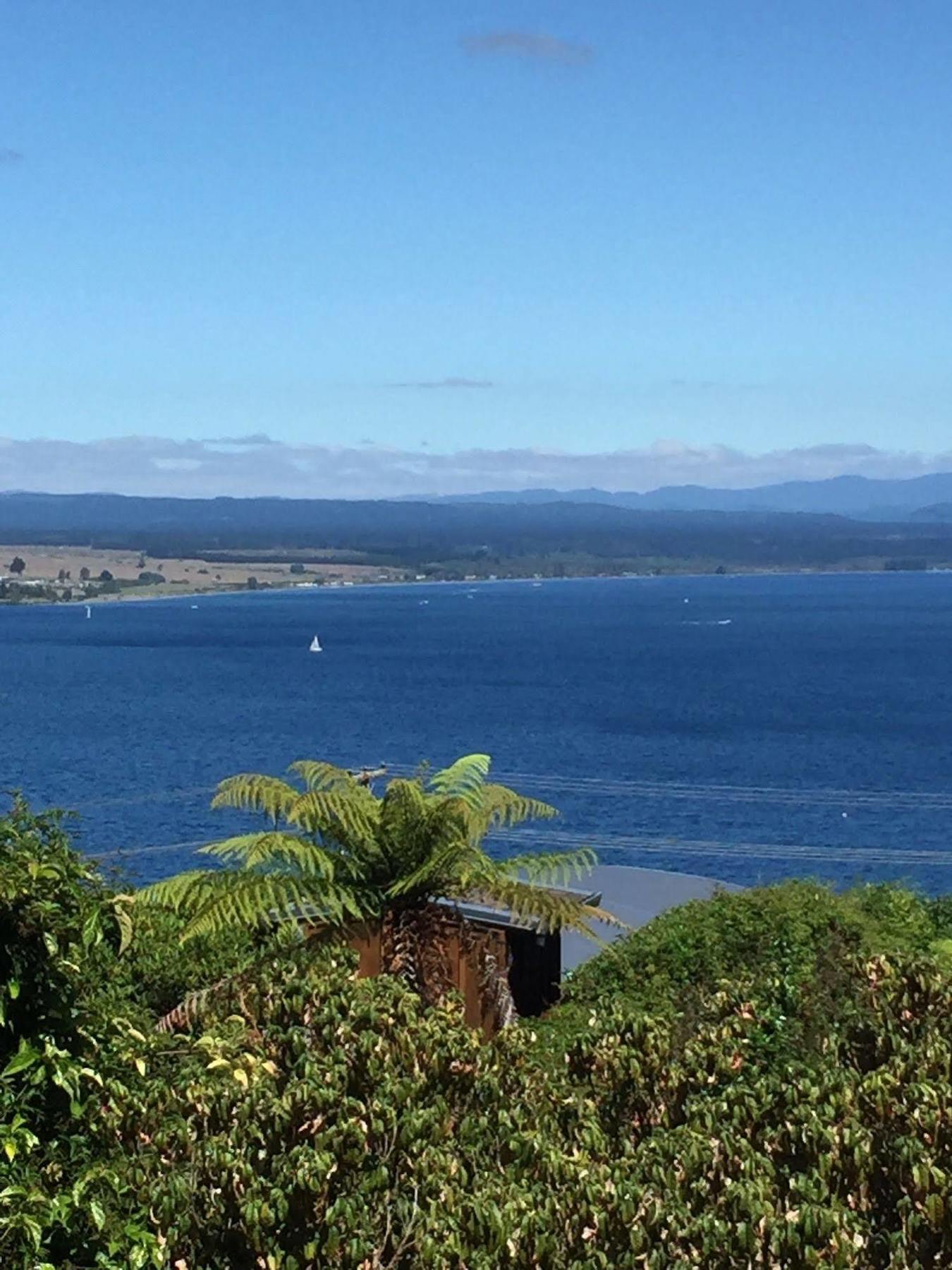The Flying Trout Boutique Lodge Taupo Kültér fotó