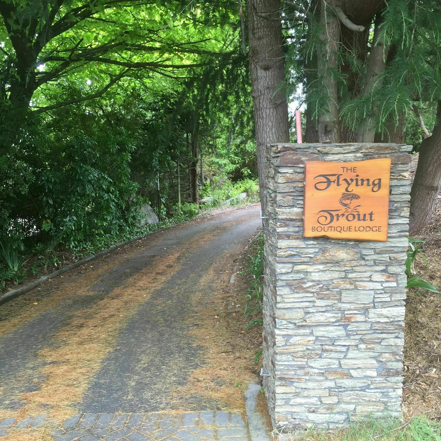 The Flying Trout Boutique Lodge Taupo Kültér fotó